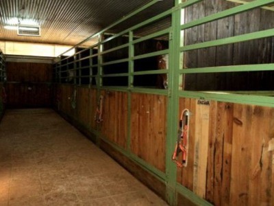 Country House - equestrian center finca.. - 2