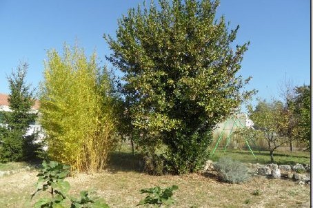 Stone House For Sale St Jean D Angely - 2