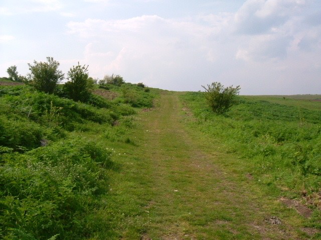 Land in Dryanovets, Dobrich