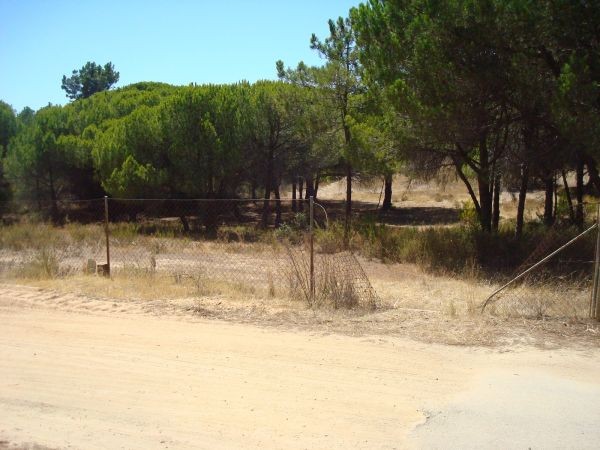 Plot - Vale do Garrao - 2
