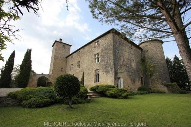 6 bedroom Castle For Sale: 31540..