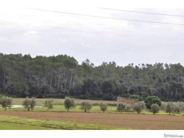 HOTEL PROJECT AND PLOT IN PERATALLADA - 2