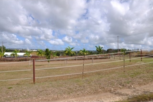 Property For Sale: Premier Stud Farm.. - 2