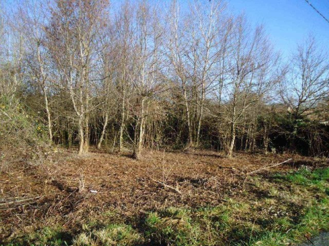 27005 - Vente - Terrain - Vergt