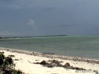 Bahia Soliman