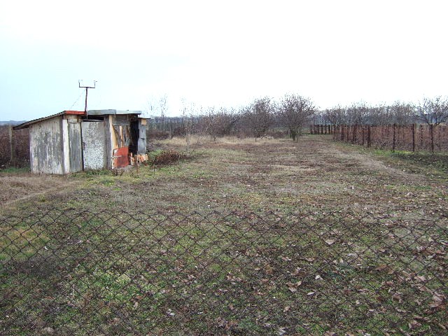 Land in Vedrina, Dobrich