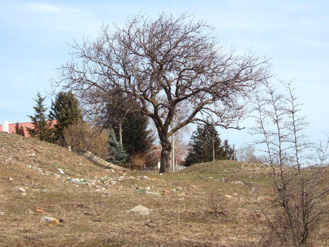 Land in Tsarkva, Albena