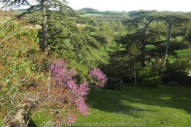 9 bedroom Castle For Sale: 47000.. - 2