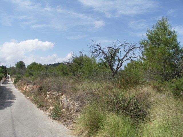 Plot in Javea