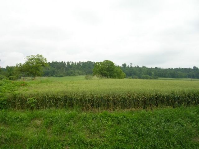 Plot of land ~1930m2 - 2