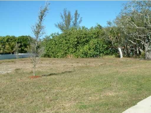 Land For Sale: 625 Neptune Ave.. - 2