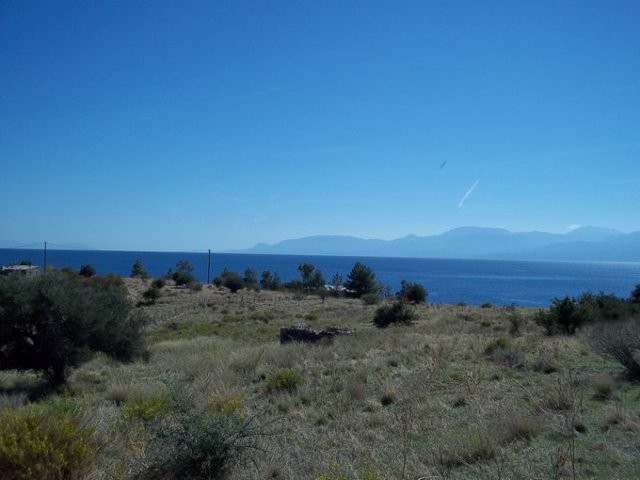 B337 - Land parcel of 16000m, at..