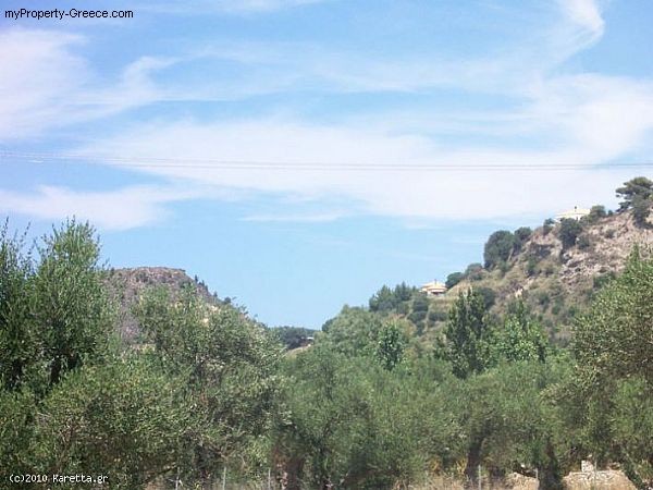 Land - Zakynthos - For Sale