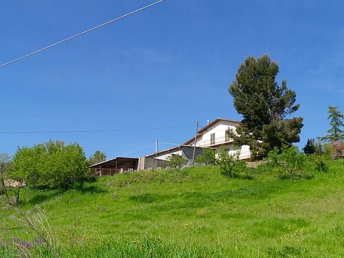 Large property with 2 large.. - 2
