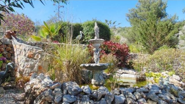 Traditional Finca style property - 2