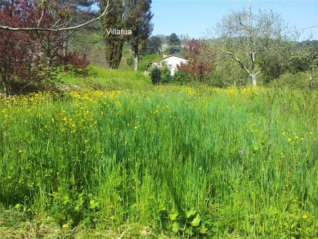 Village/town House - For Sale - Coastal.. - 2