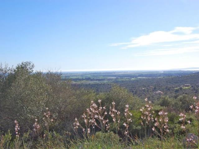 Plot with sea views in Puntiro