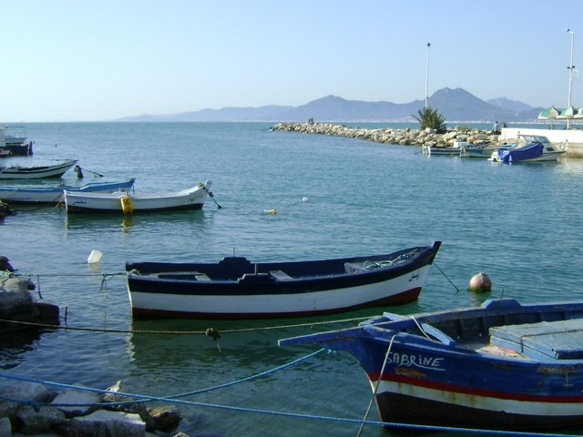 the sea garden - 2