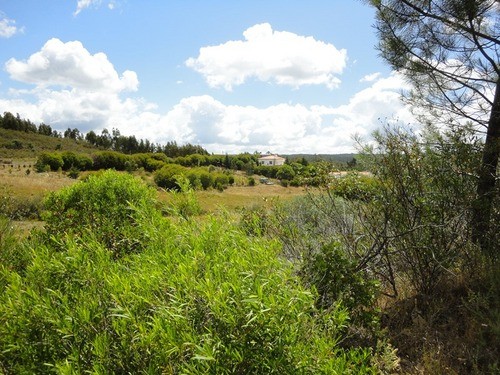 EXCLUSIVE! Beautiful 2 bedroom country.. - 2