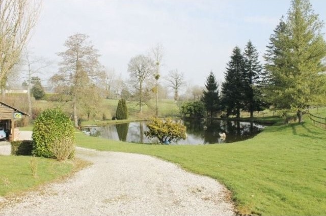 Superb House with Land Ideal for Horses - 2