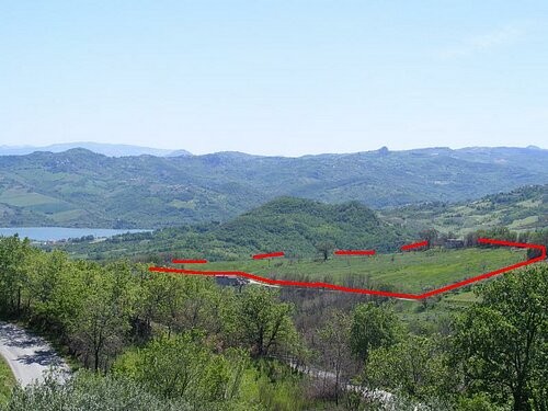 Fabulous ruin with 11 hectares of land - 2
