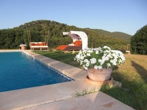 Marvellous finca of new construction.. - 2