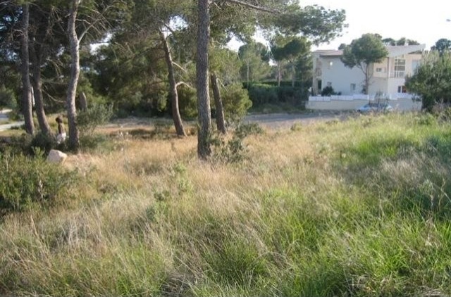 Flat Plot Of 1.138 M2 In One Of The..