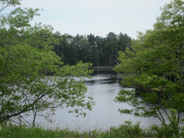Land For Sale: Lot B-Y Arthur Hatt Road..
