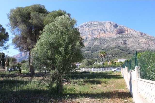 1 Bedroom Apartment in Javea