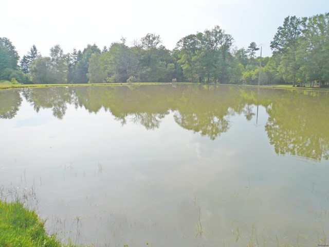 Lake With Fishing Licence In The..
