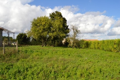 5-bed property just 5km from Ruffec - 2