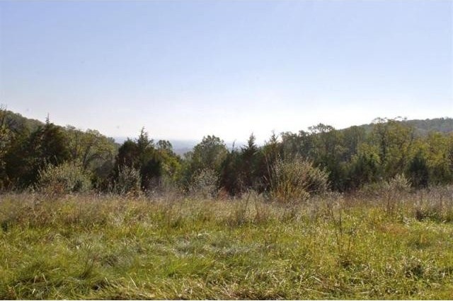Land For Sale: 5336 BRUNSWICK, BROAD.. - 2