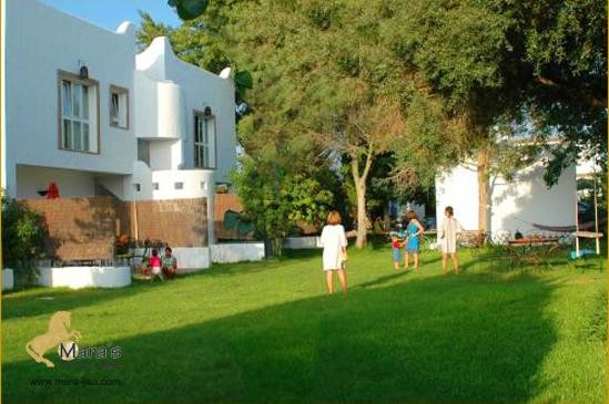 quaint hotel apartments near Vejer de..