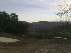 Cortijo, La Vina - 2
