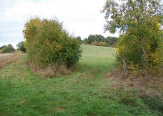 Former Farmhouse With 10 Acres - 2