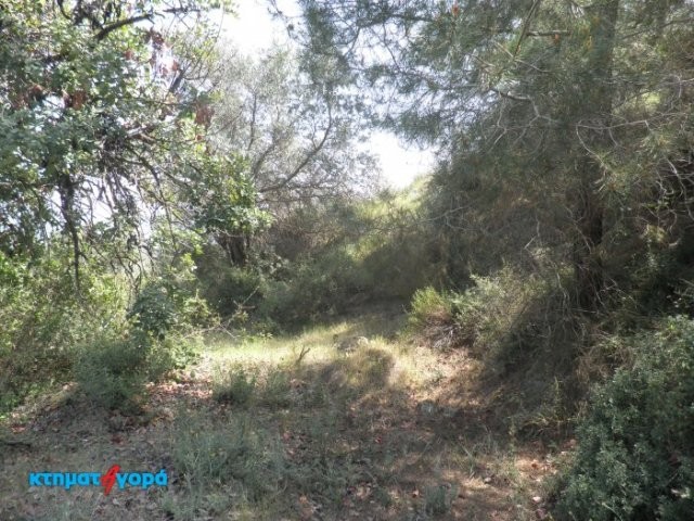 Residential Land in Lysos, Pafos
