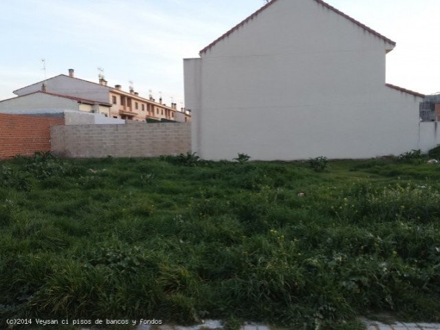 Avda Castilla la Mancha - 2