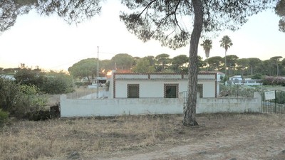 Finca Farm - RENOVATION PROJECT This..