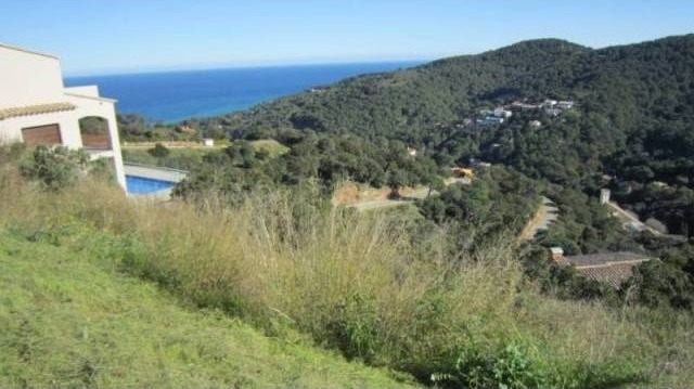 PLOTS IN ES VALLS