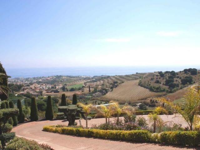 Urban property among vineyards... - 2