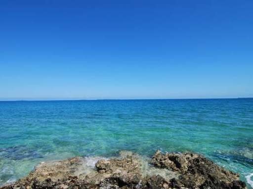 Singlefamilyvacant - Well Suited for a..