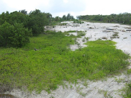 4.5 Acre Beachfront Lot In Boca Ciega - 2