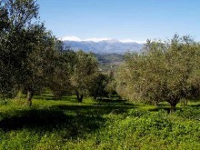 Crete Land Estate