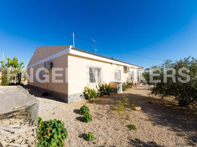 Beautiful finca close to La Manga - 2
