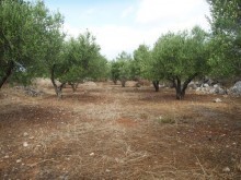 Plot For Sale East Of Chania