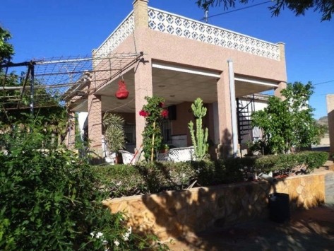 Finca Elche Crevillente - 2