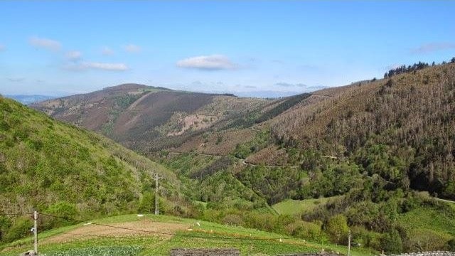 4 Bed Finca For Sale 4 - 2