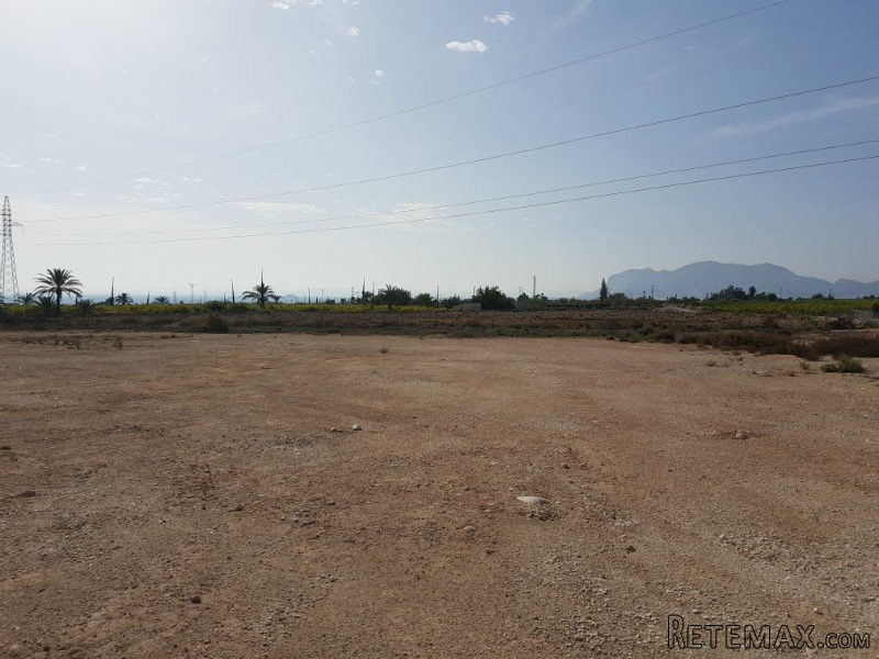 Land, (plot 13000m2), Albatera - 2