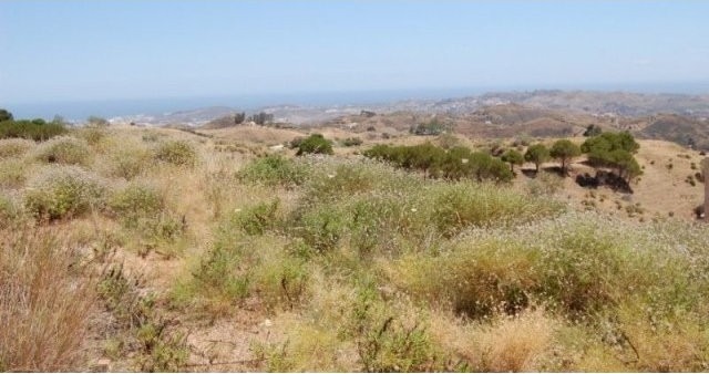 Land - BUILDING PLOT IN THE POPULAR..