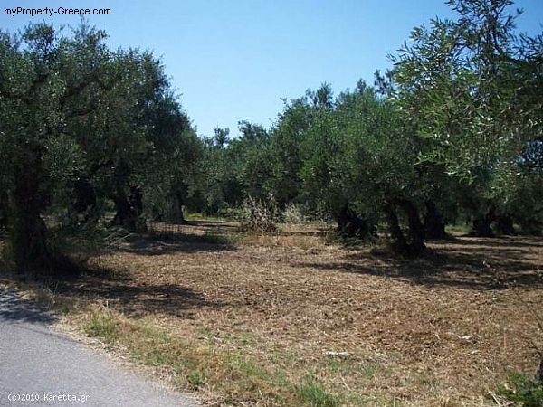Land - Zakynthos - For Sale